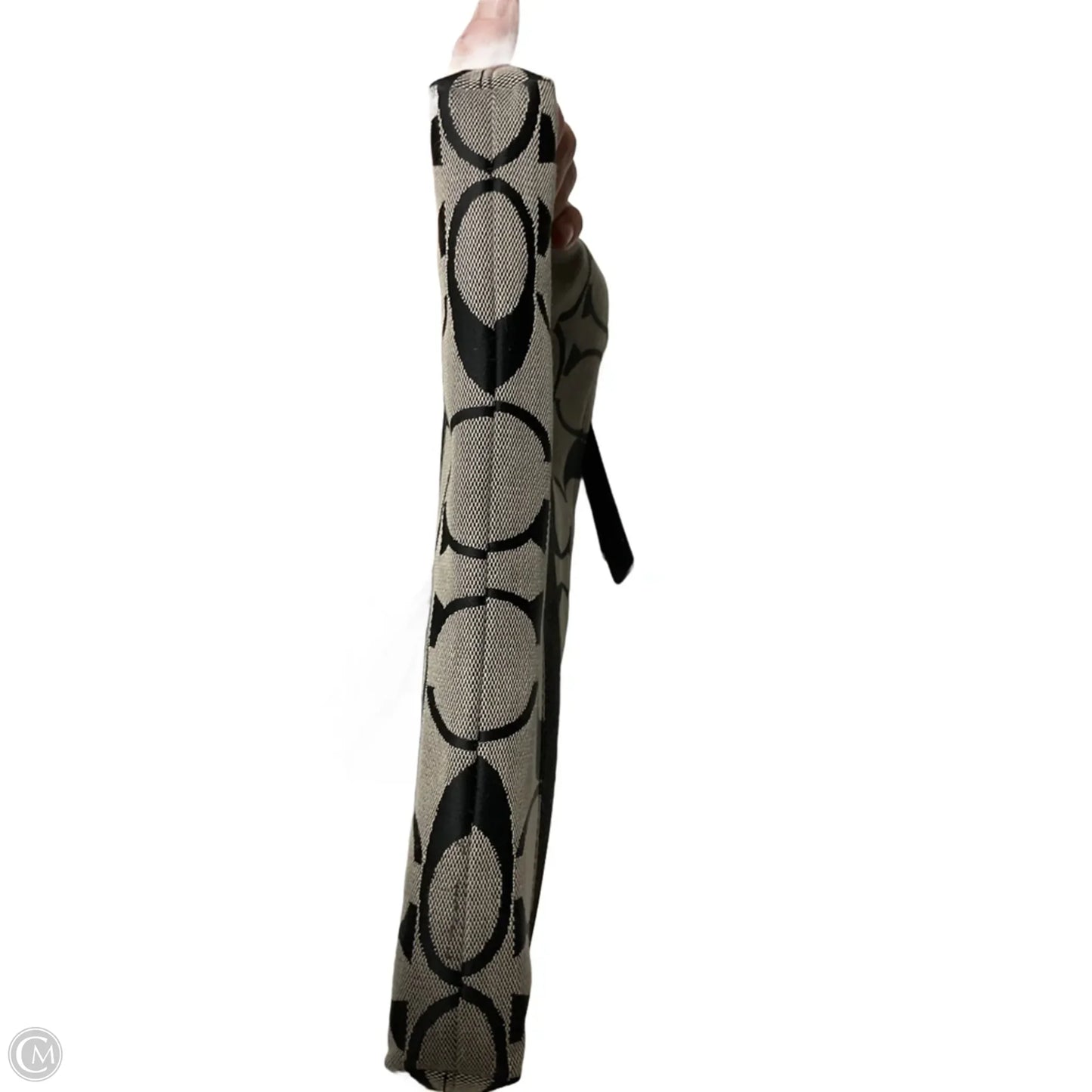 Crossbody Designer By Coach, Size: Large