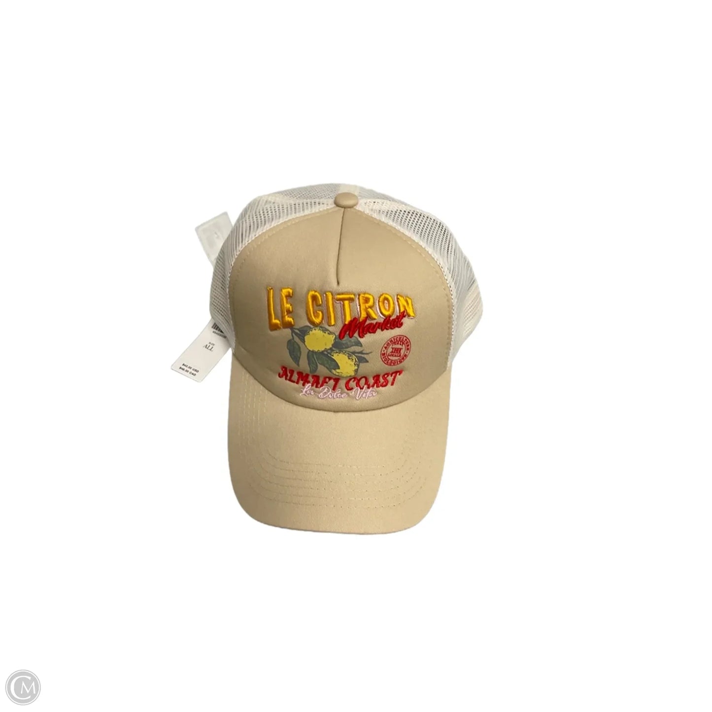 Hat Baseball Cap By Anthropologie