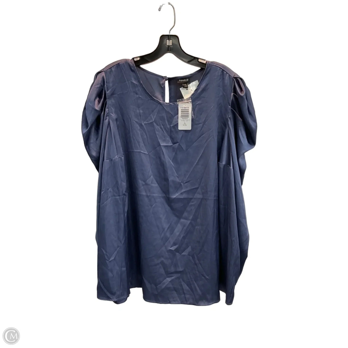Blouse Long Sleeve By Torrid In Blue, Size: 1x