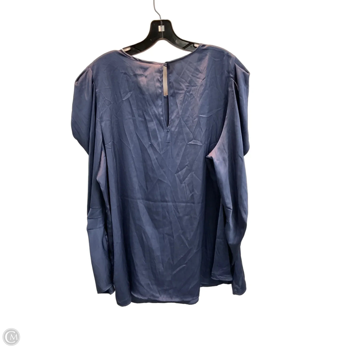 Blouse Long Sleeve By Torrid In Blue, Size: 1x