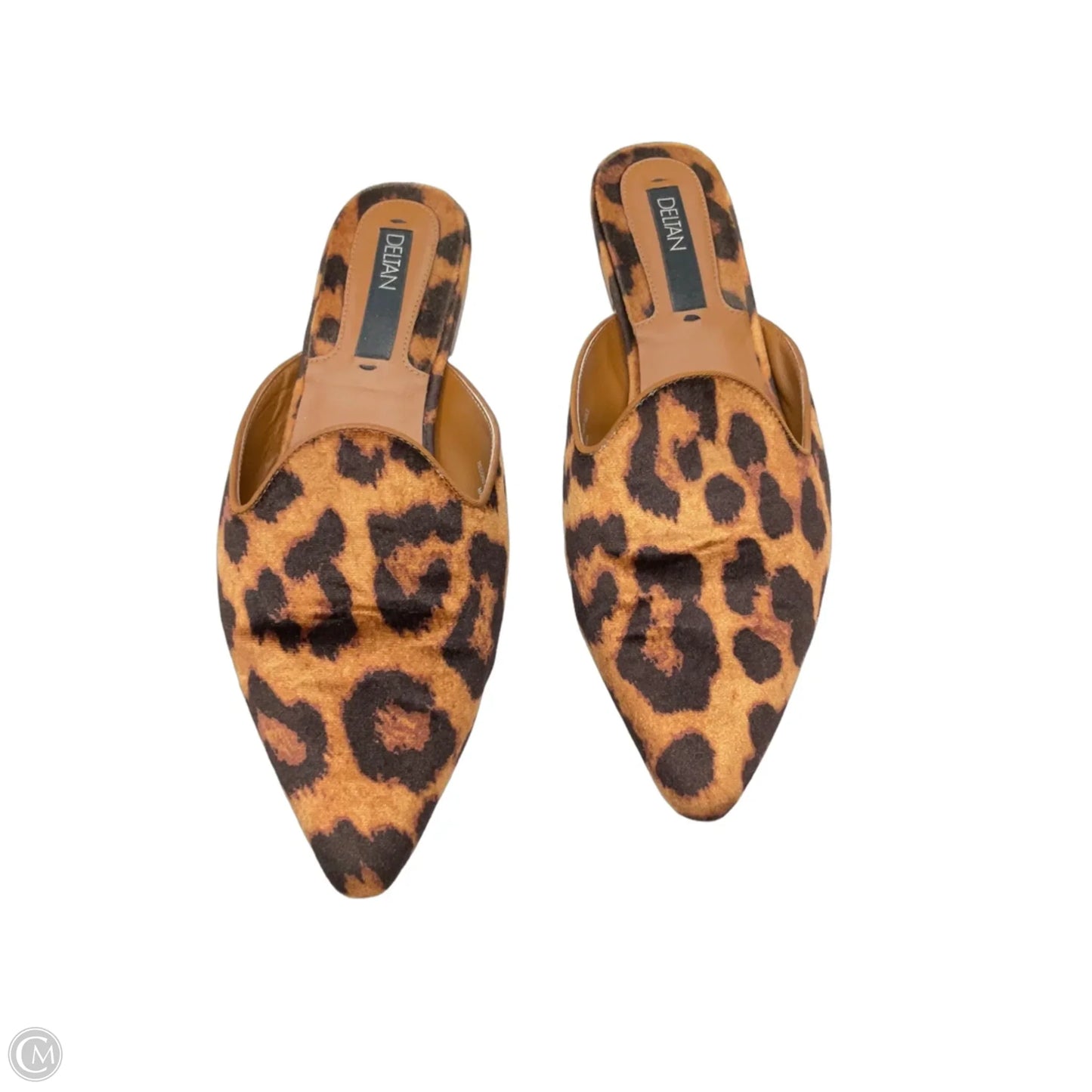 Shoes Flats By Clothes Mentor In Leopard Print, Size: 9.5