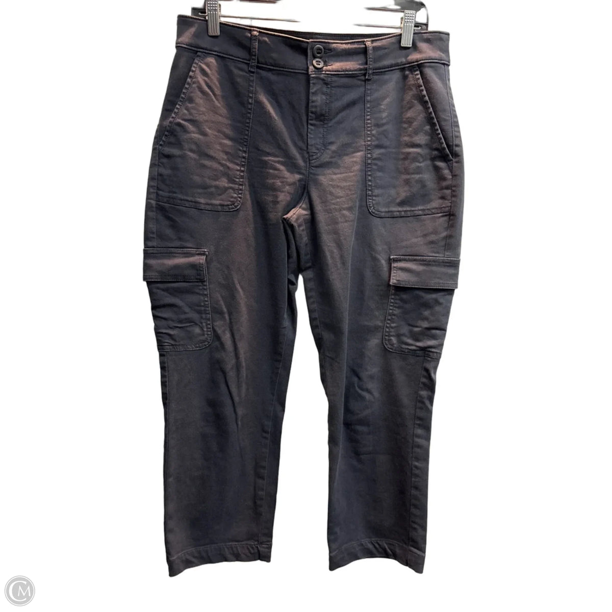 Pants Cargo & Utility By Loft In Grey, Size: 10