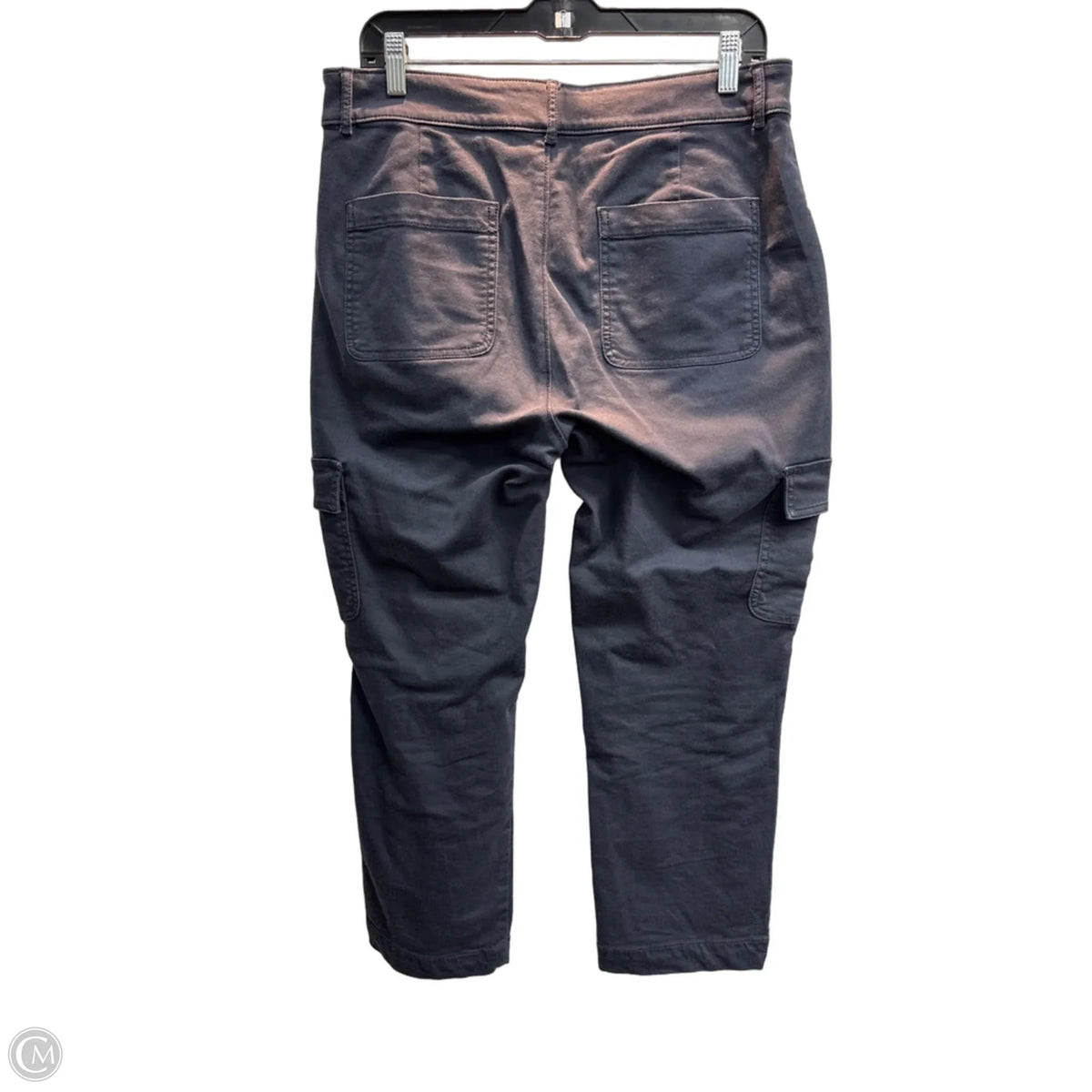 Pants Cargo & Utility By Loft In Grey, Size: 10