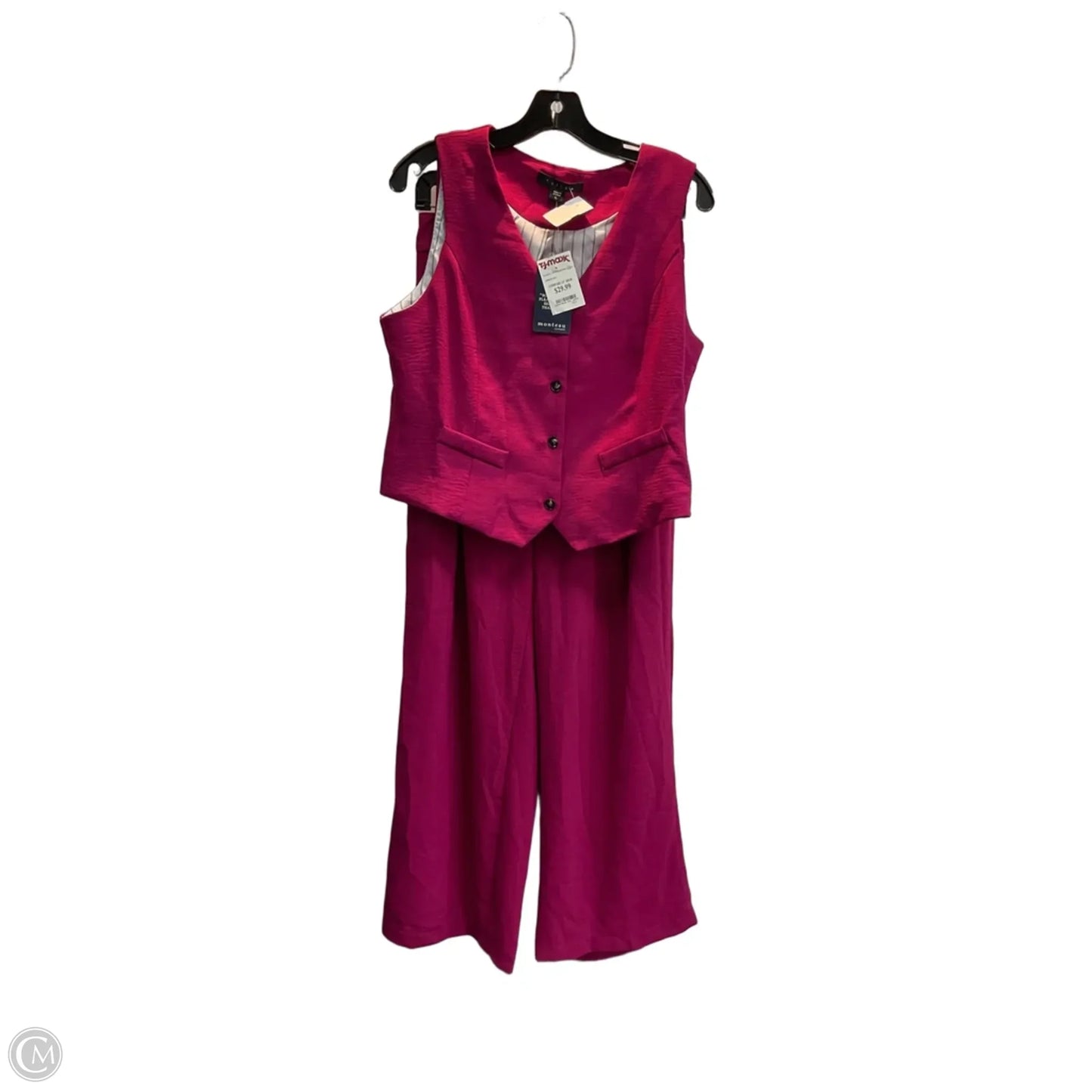 Pants Set 2pc By Clothes Mentor In Pink, Size: Xl