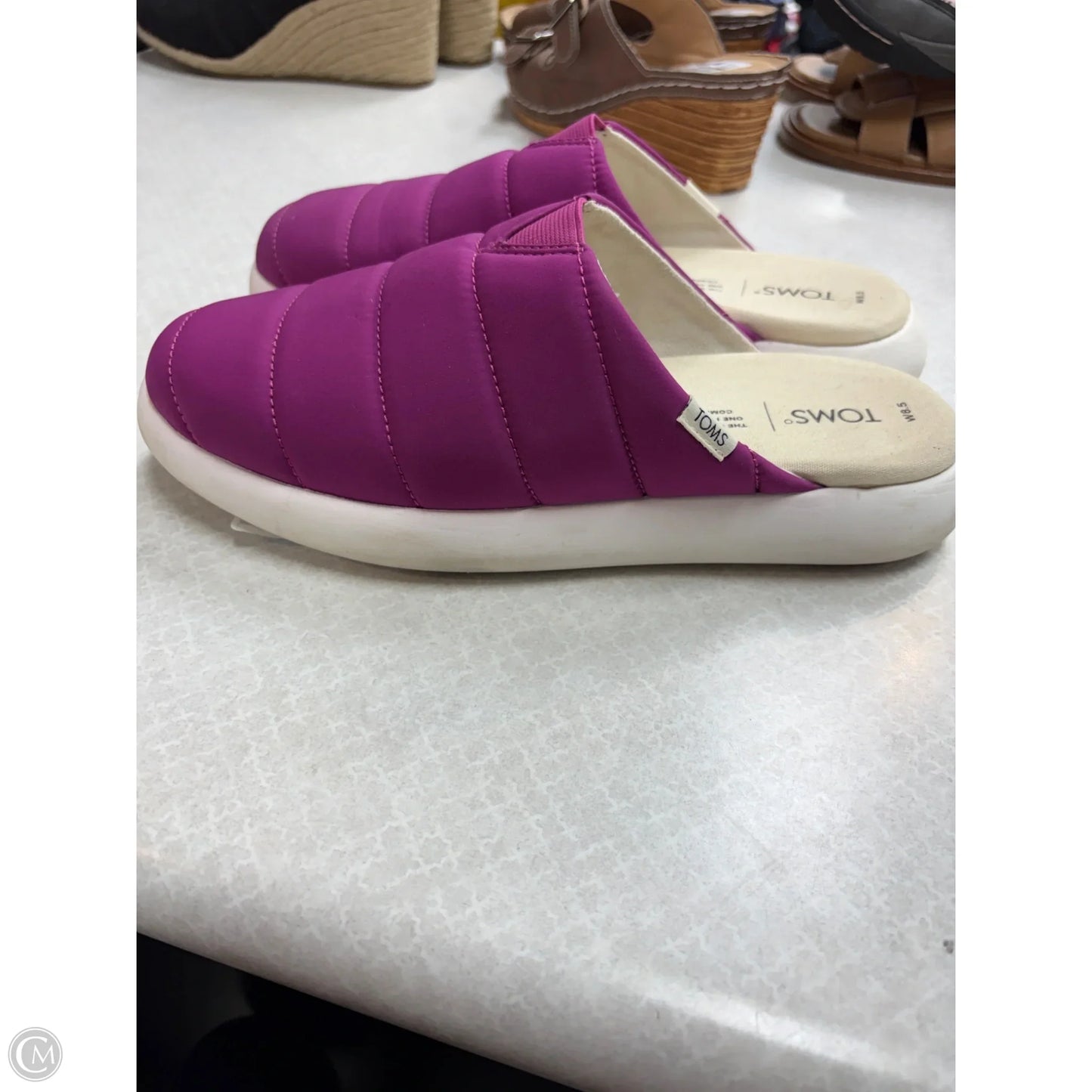 Shoes Flats By Toms In Purple, Size: 8.5