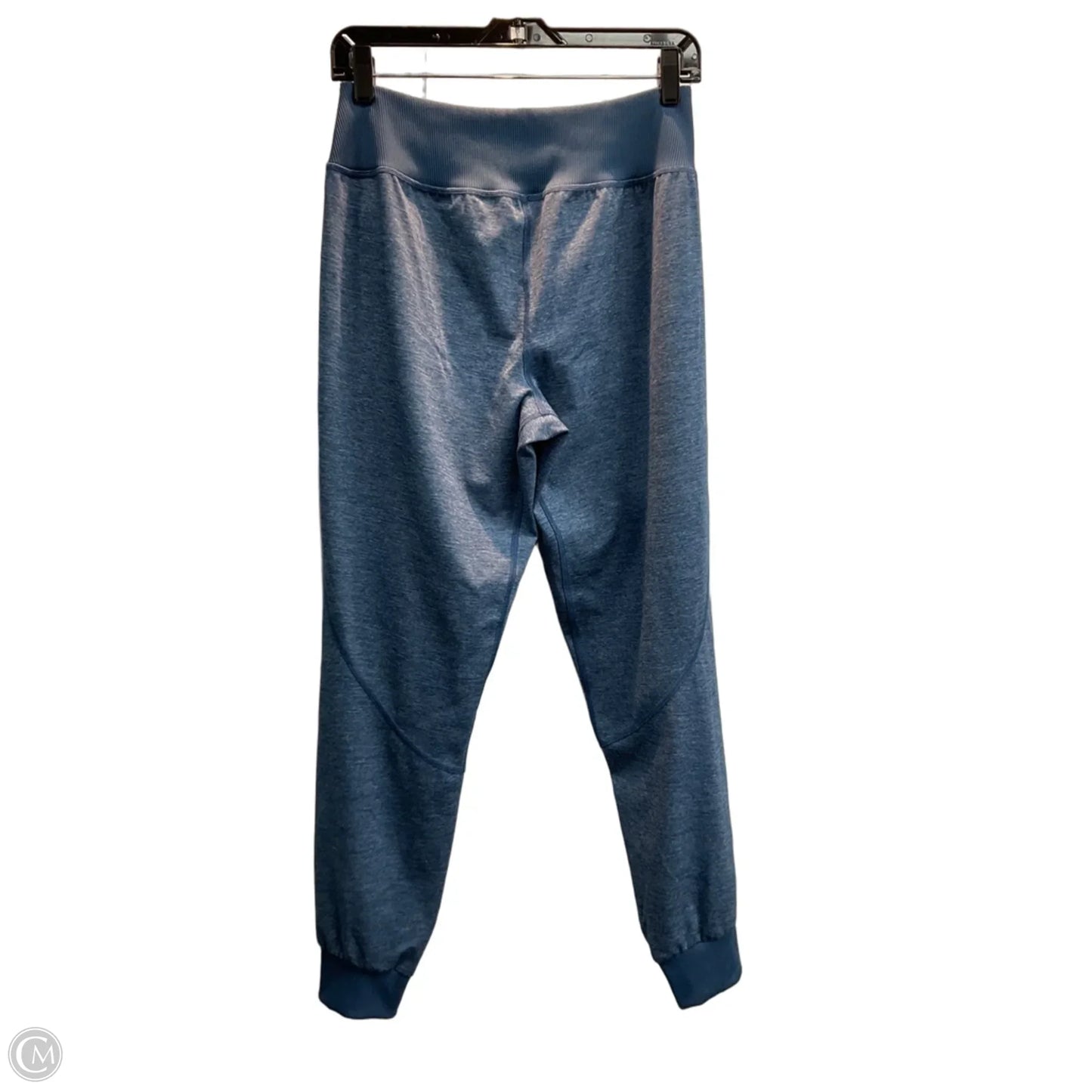 Athletic Pants By The North Face In Blue, Size: M