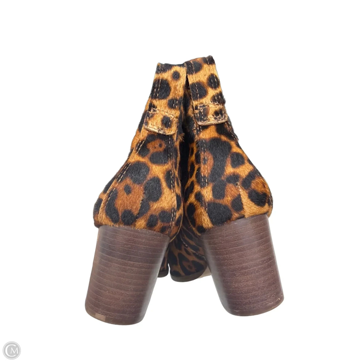 Boots Ankle Heels By Madewell In Leopard Print, Size: 7
