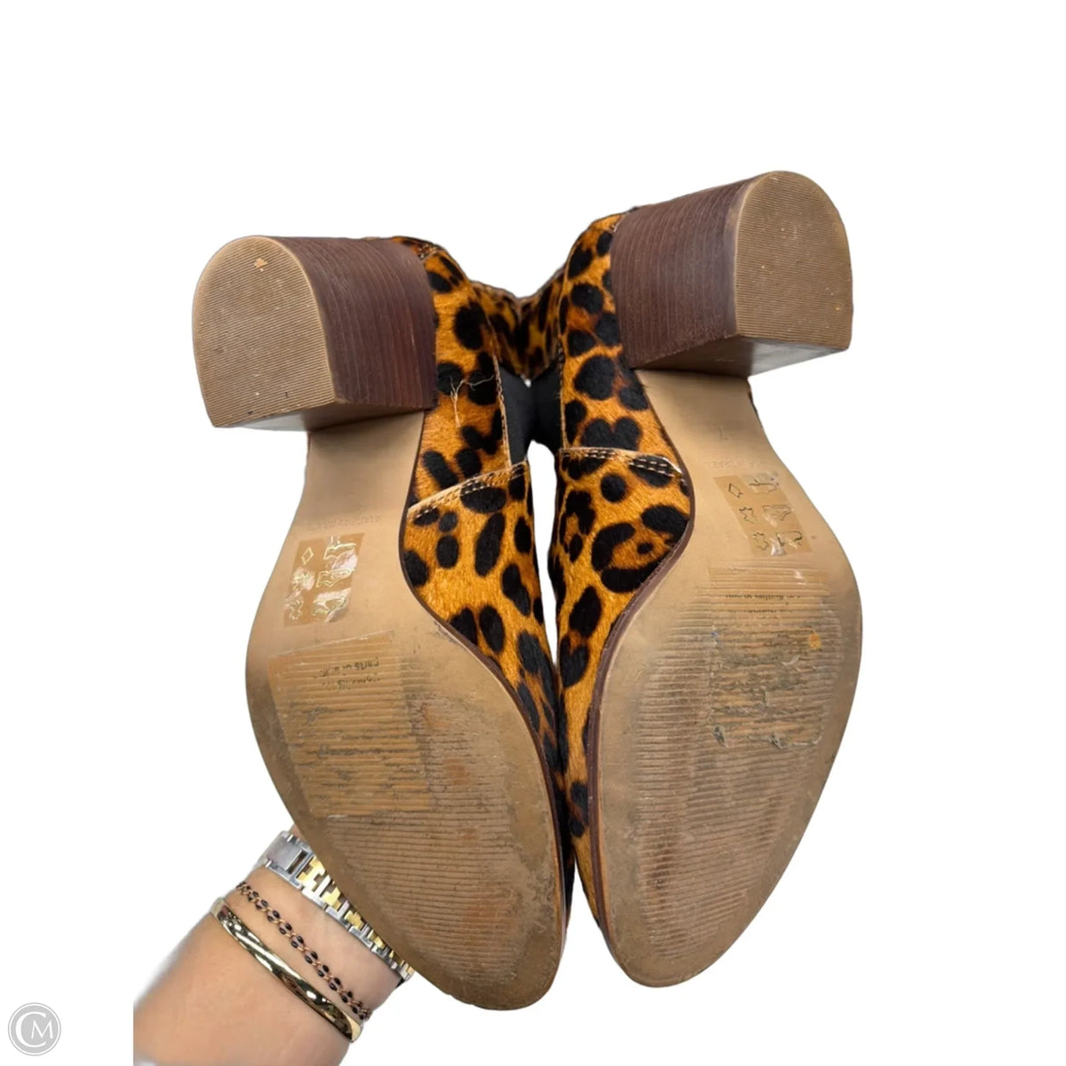 Boots Ankle Heels By Madewell In Leopard Print, Size: 7