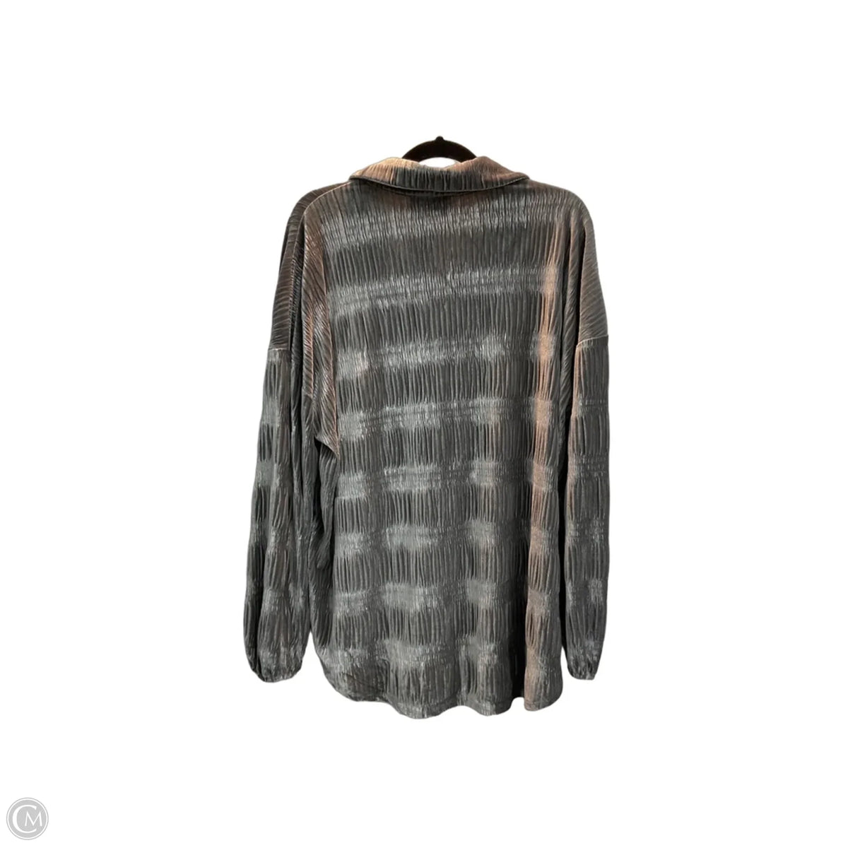 Top Long Sleeve By Daytrip In Silver, Size: L