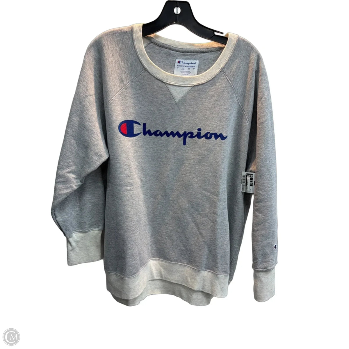 Sweatshirt Crewneck By Champion In Grey, Size: 2x