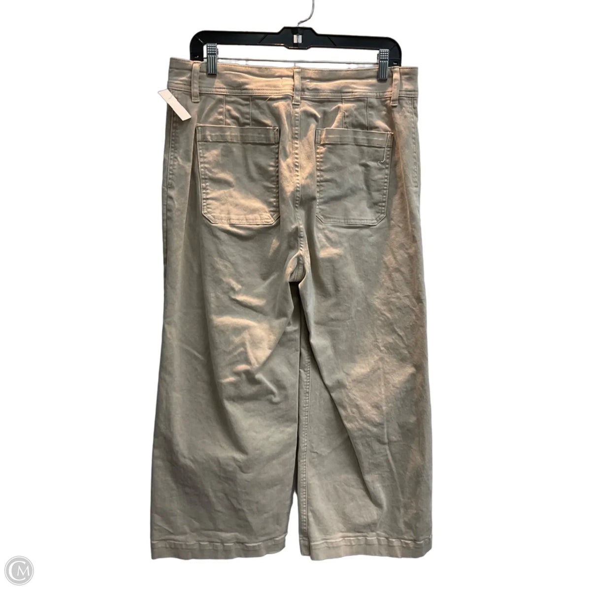 Pants Wide Leg By Tgla In Tan, Size: 12