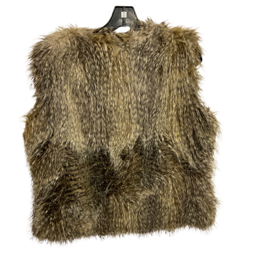 Vest Faux Fur & Sherpa By Express In Animal Print, Size: L