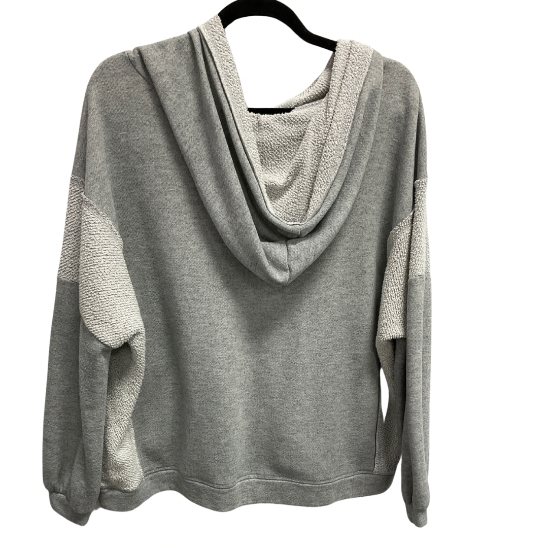 Sweatshirt Hoodie By Bke In Grey, Size: M