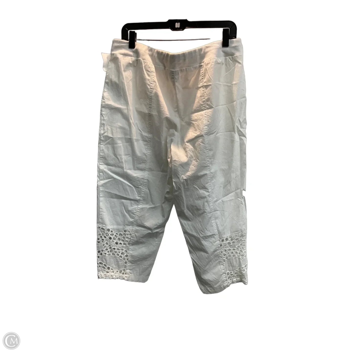 Pants Other By Zenergy By Chicos In White, Size: 14