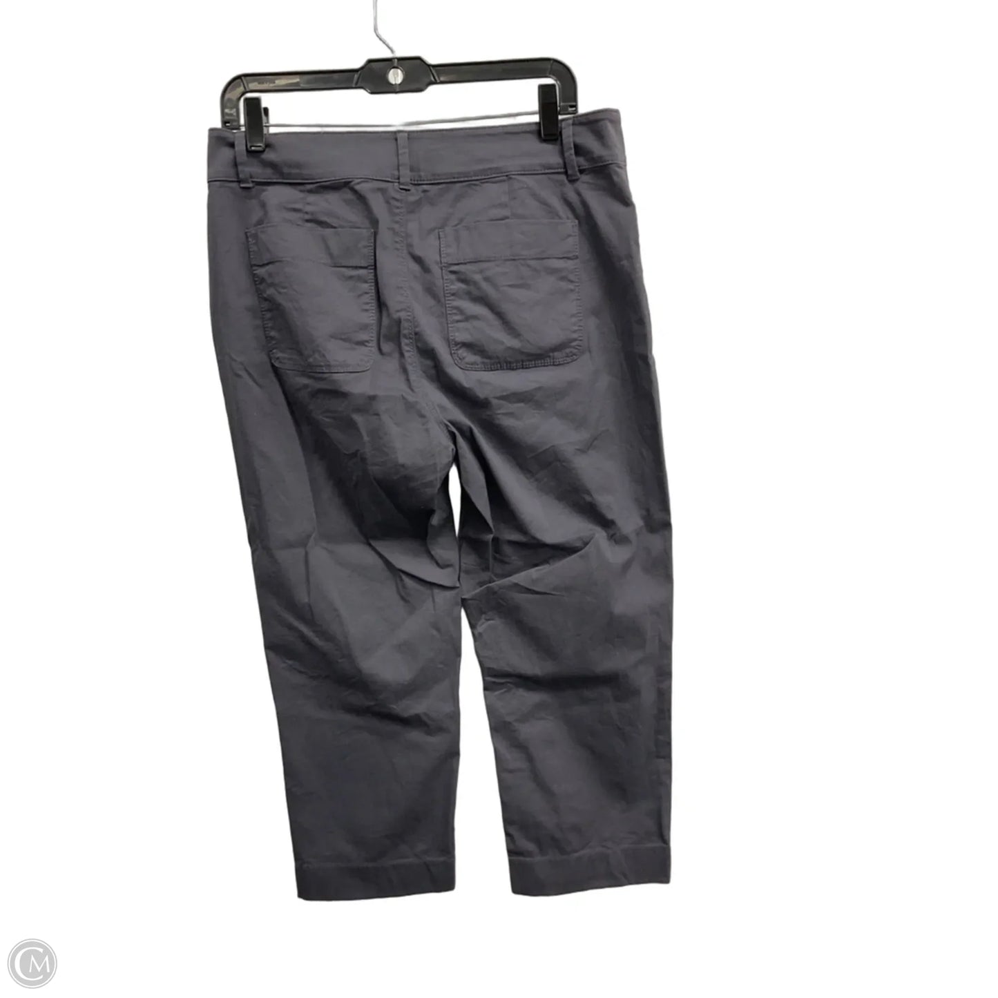 Pants Chinos & Khakis By Loft In Grey, Size: 10p