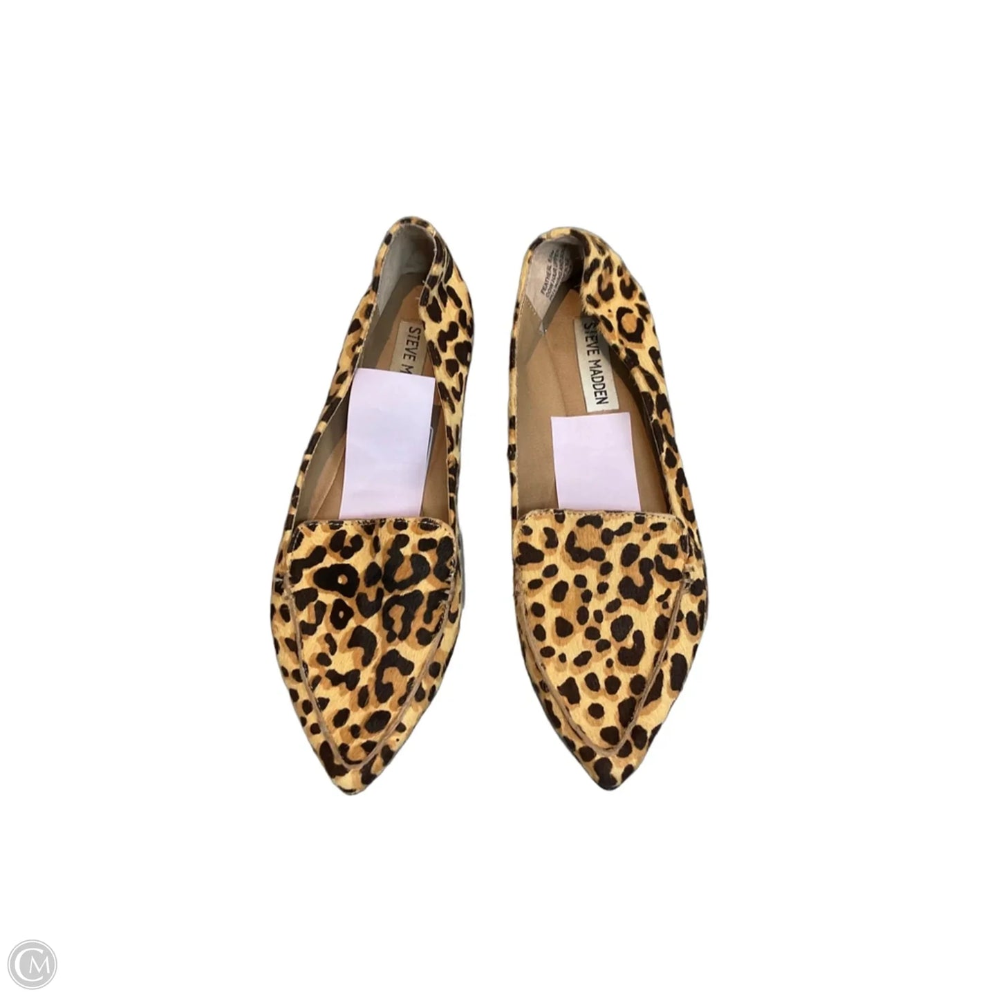 Shoes Flats By Steve Madden In Animal Print, Size: 6.5