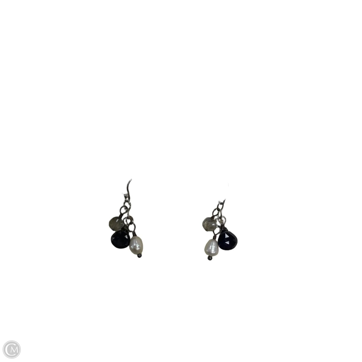 Earrings Dangle/drop By Sundance