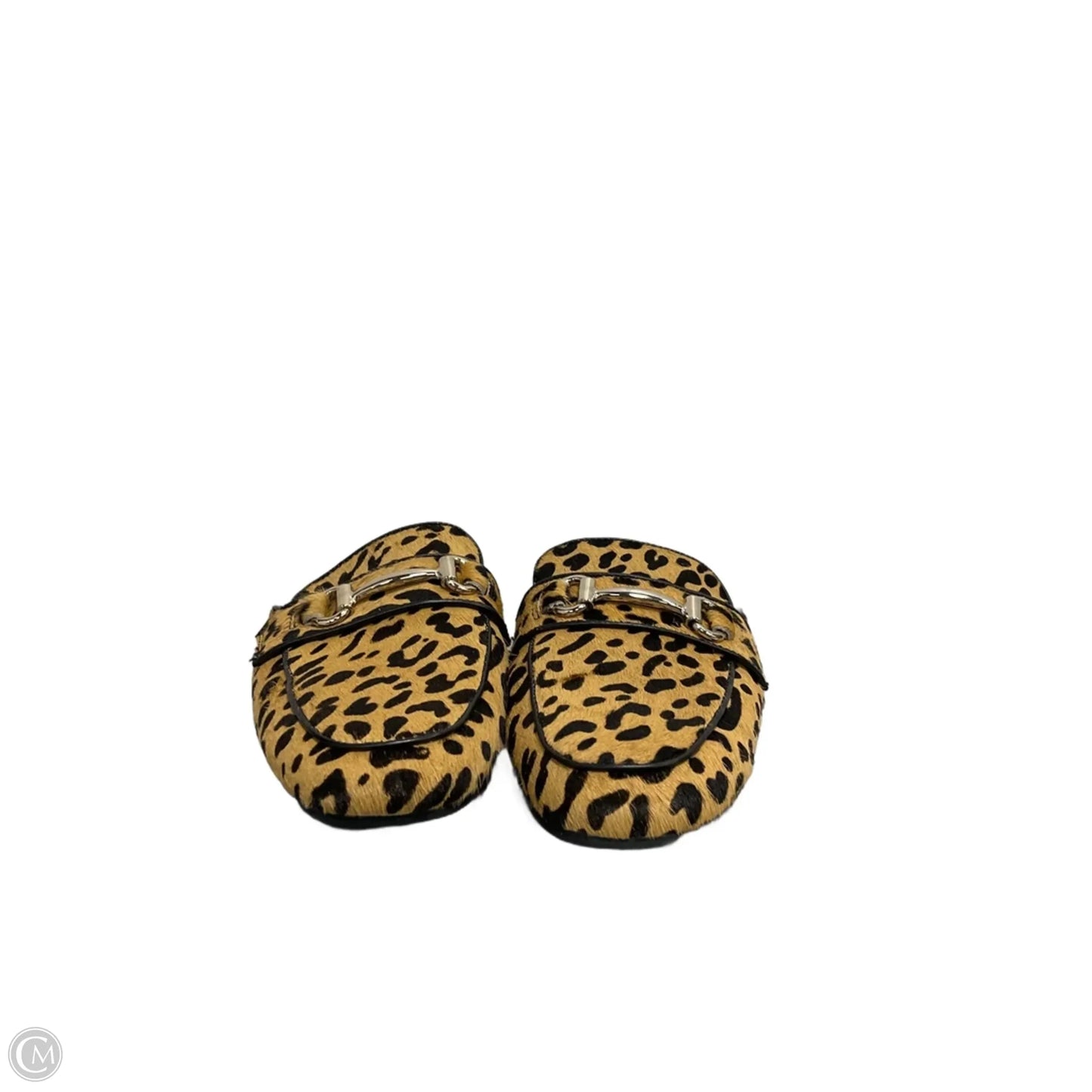 Shoes Flats By Steve Madden In Animal Print, Size: 7.5