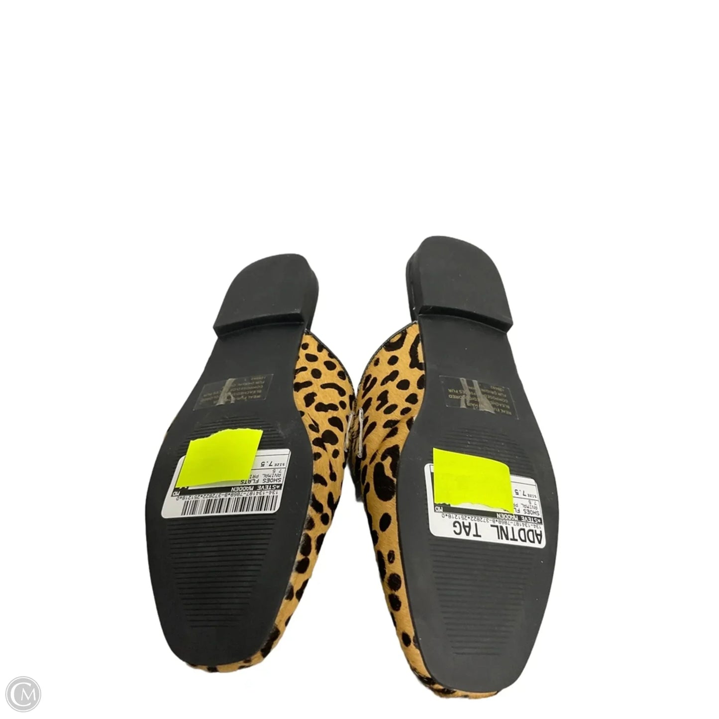 Shoes Flats By Steve Madden In Animal Print, Size: 7.5