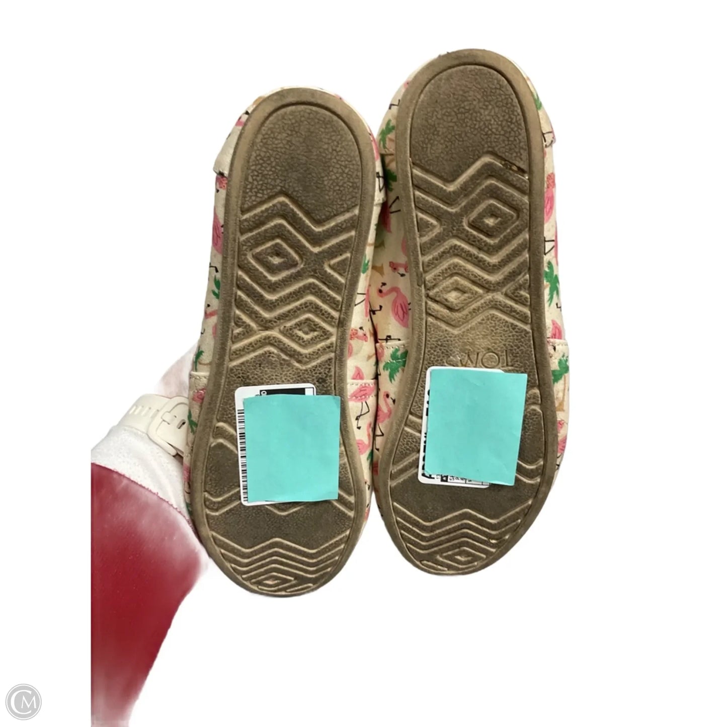 Shoes Athletic By Toms In Pink, Size: 6