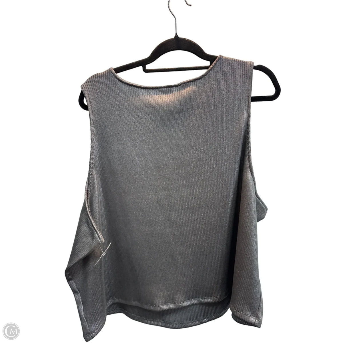 Tank Top By Future Collective In Silver, Size: 4x