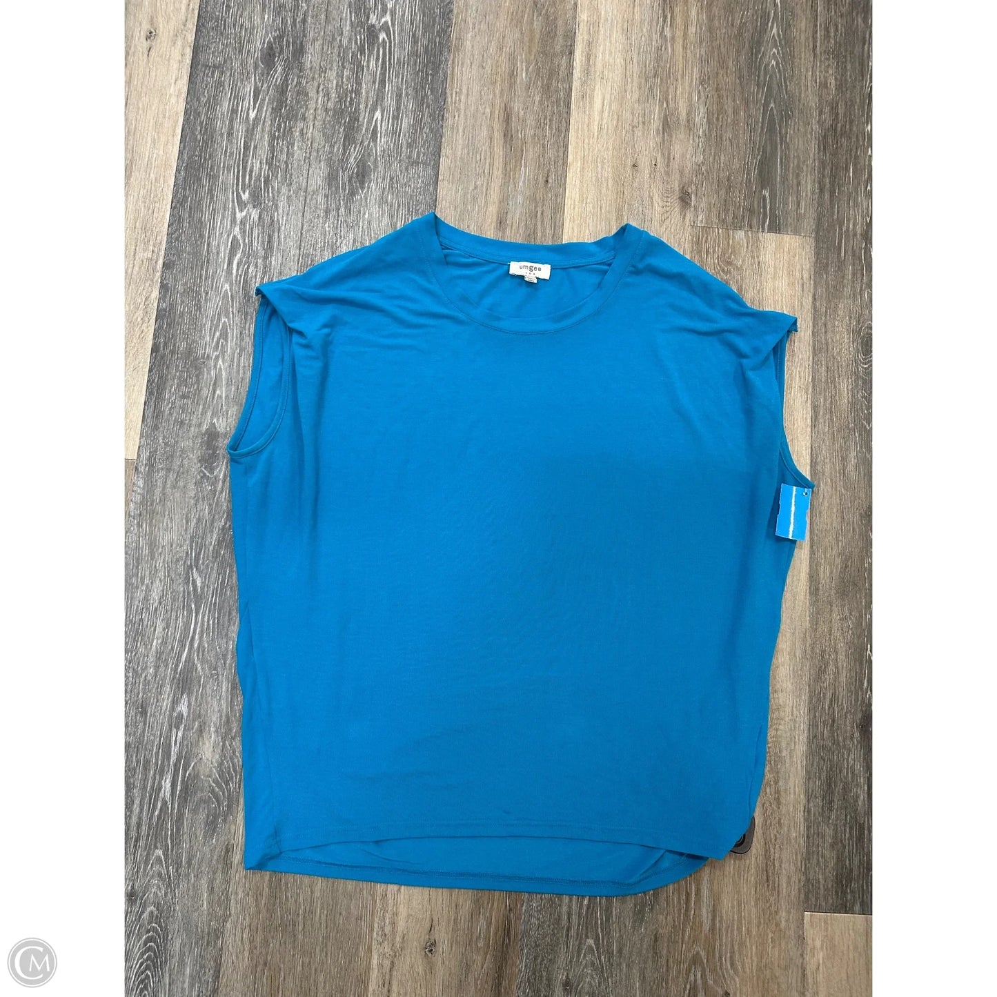 Top Short Sleeve By Umgee In Blue, Size: L