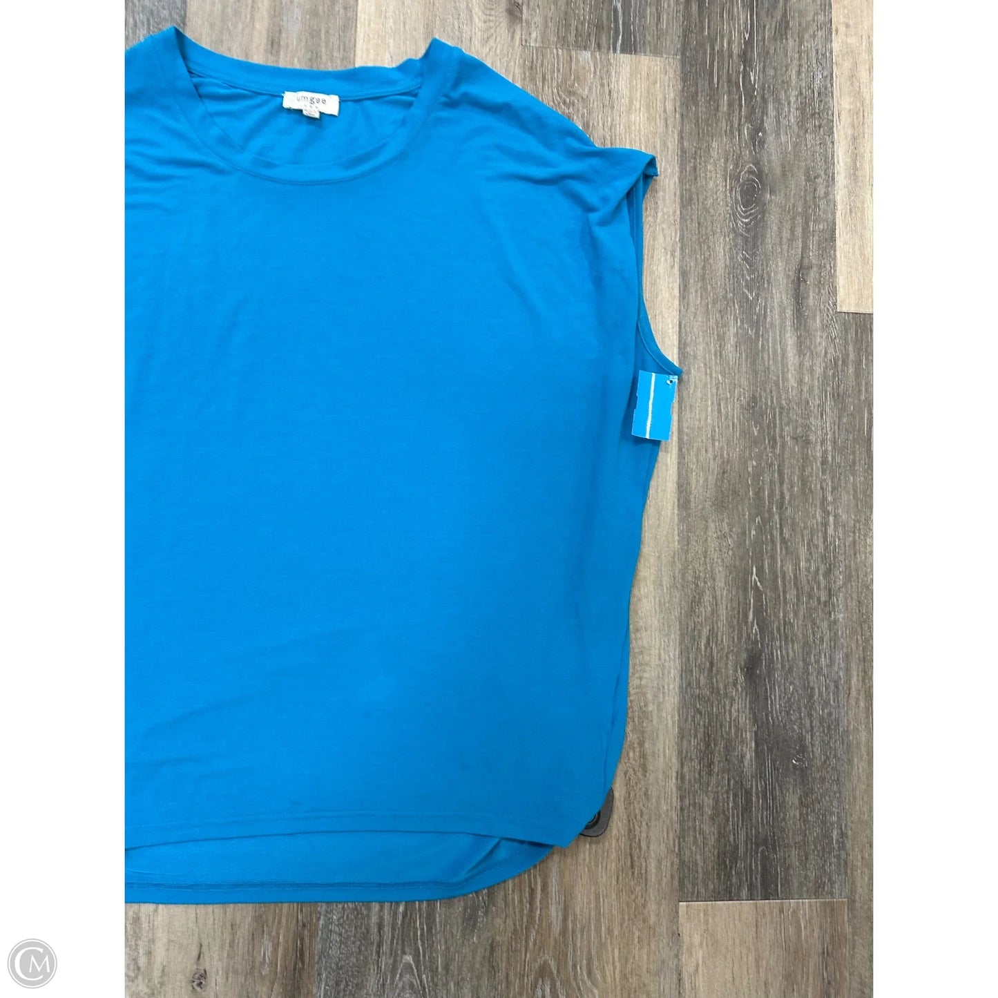 Top Short Sleeve By Umgee In Blue, Size: L
