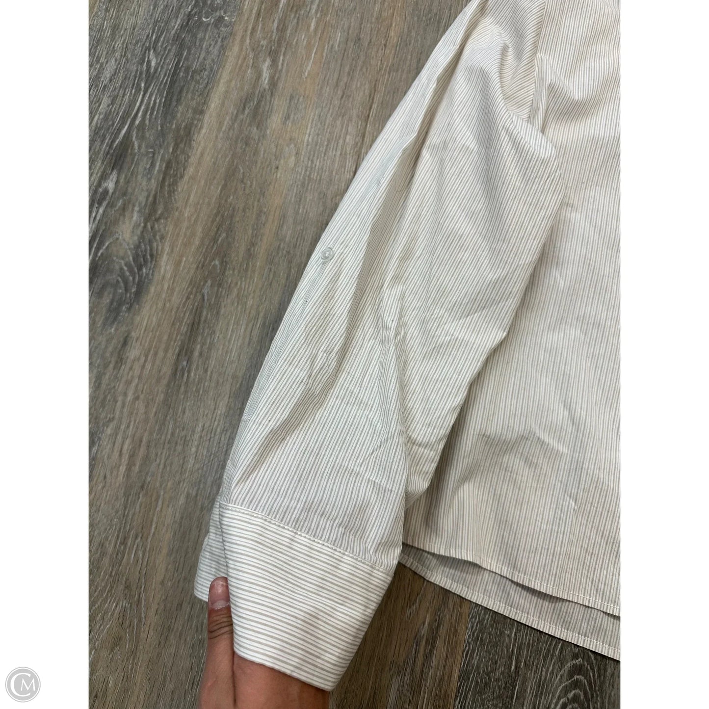 Blouse Long Sleeve By Evereve In Tan, Size: L