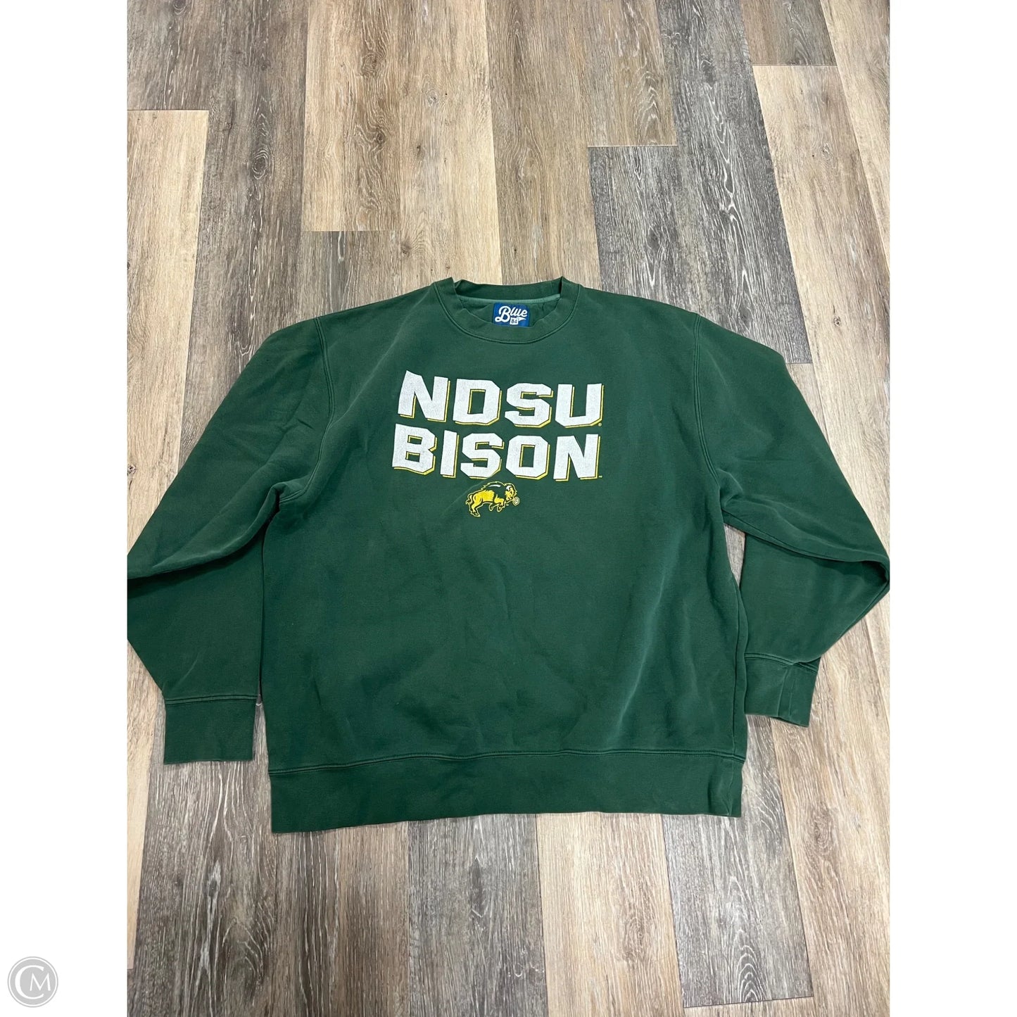 Athletic Sweatshirt Crewneck By Blue 84 In Green, Size: 2x