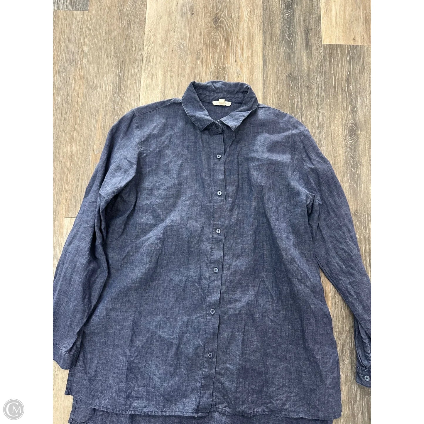 Blouse Long Sleeve By Eileen Fisher In Blue, Size: M