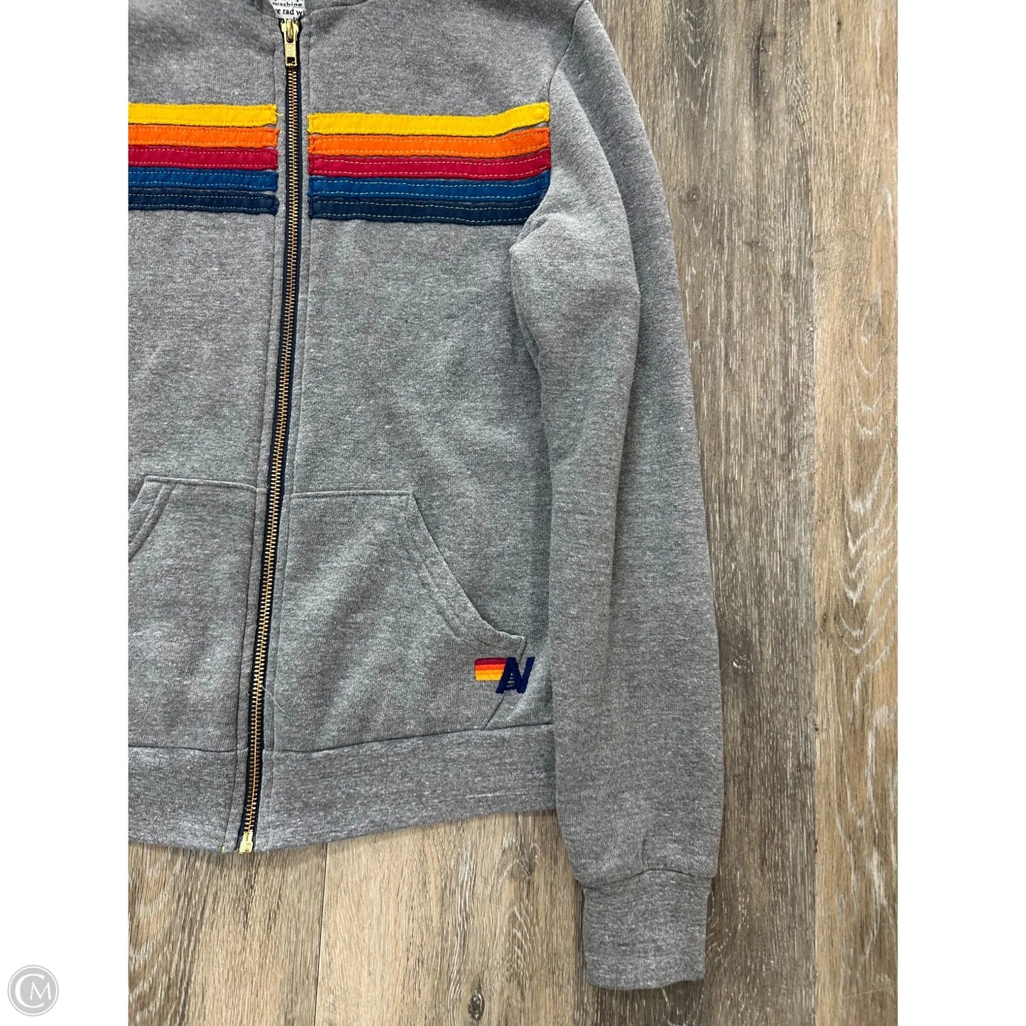 Sweatshirt Hoodie By Aviator Nation In Grey, Size: S