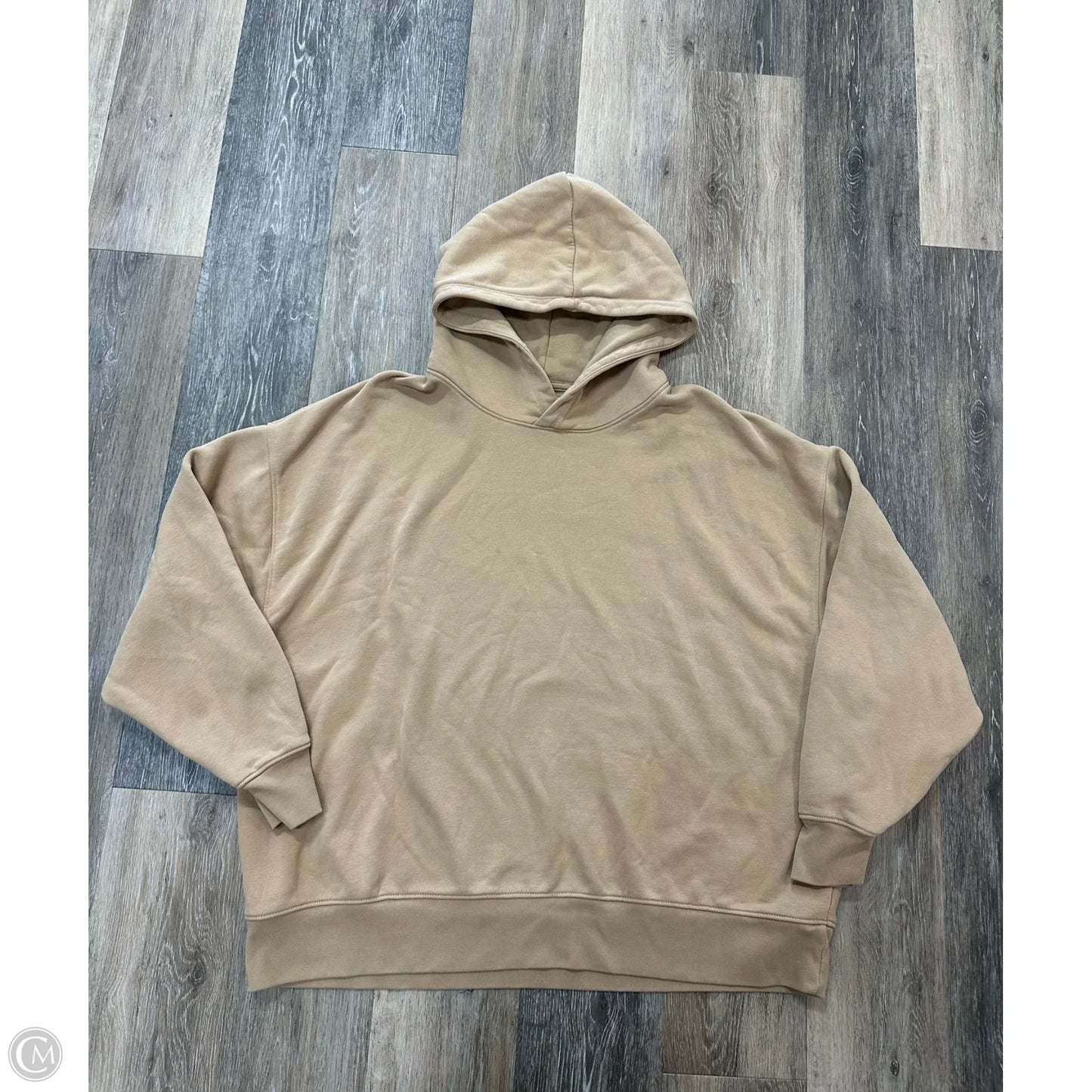 Sweatshirt Hoodie By American Eagle In Tan, Size: Xl