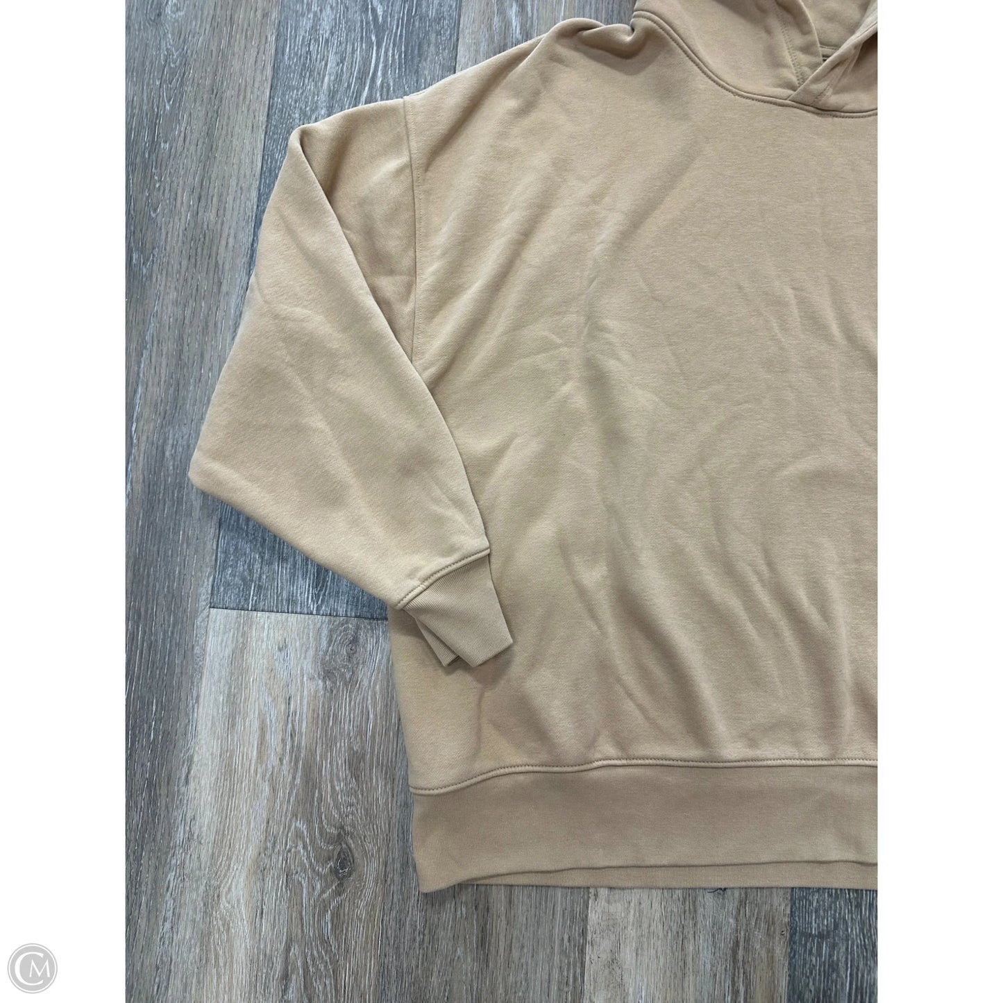 Sweatshirt Hoodie By American Eagle In Tan, Size: Xl