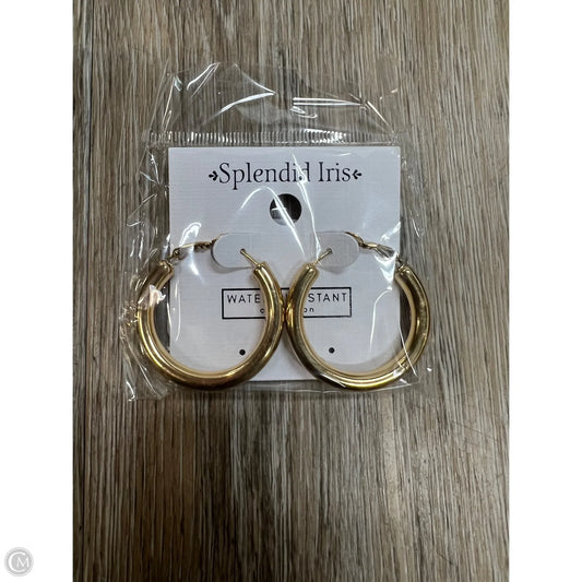 Earrings Hoop By Splendid Iris