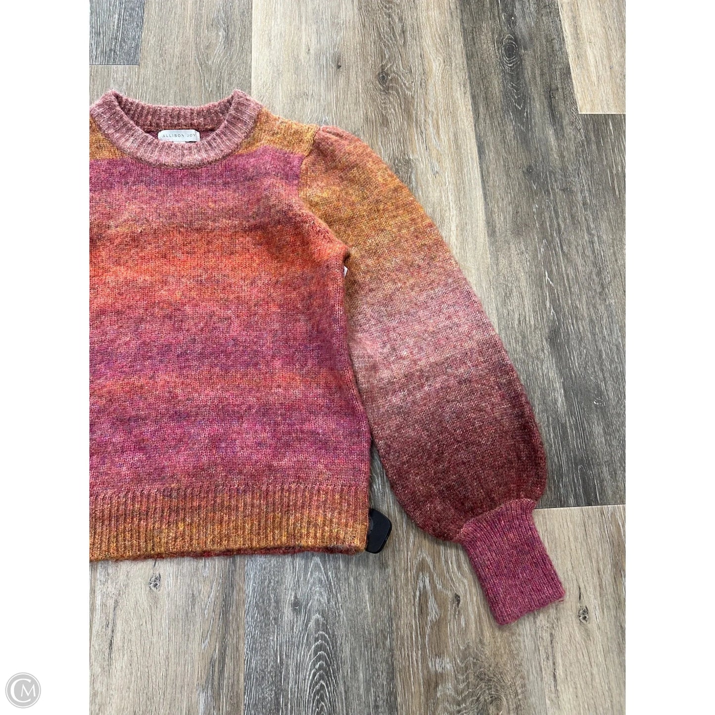 Sweater By Allison Joy In Multi-colored, Size: S