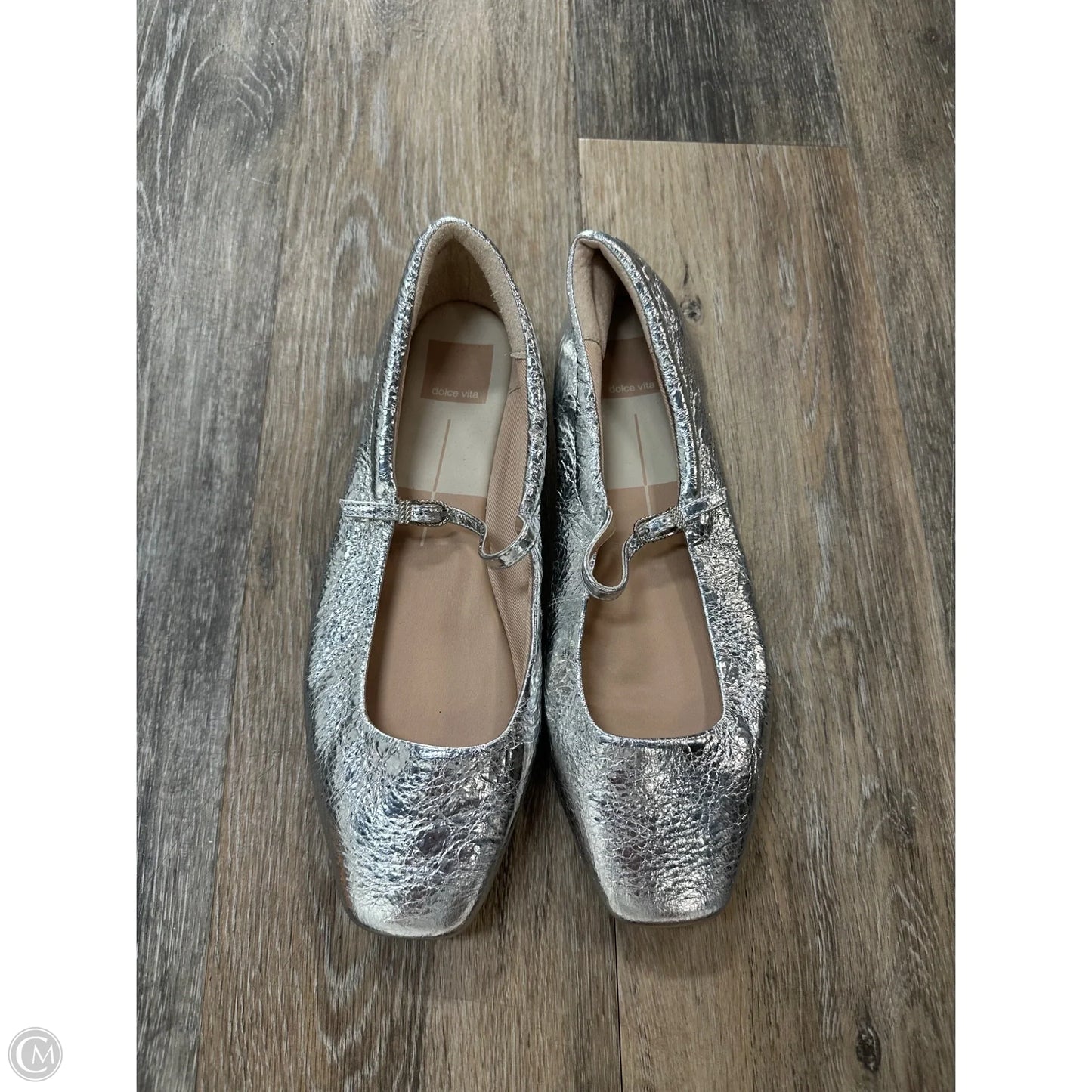 Shoes Flats By Dolce Vita In Silver, Size: 9.5