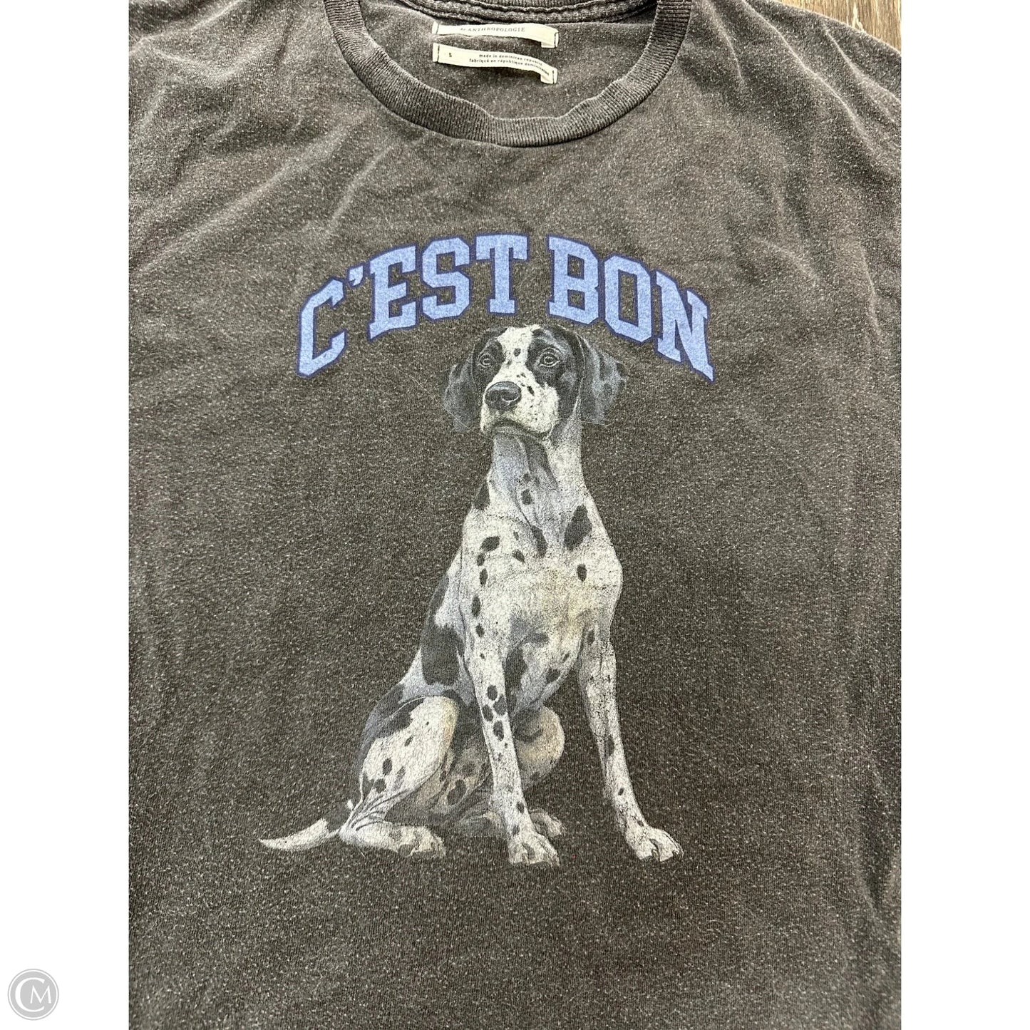 Top Short Sleeve By Anthropologie In Grey, Size: S