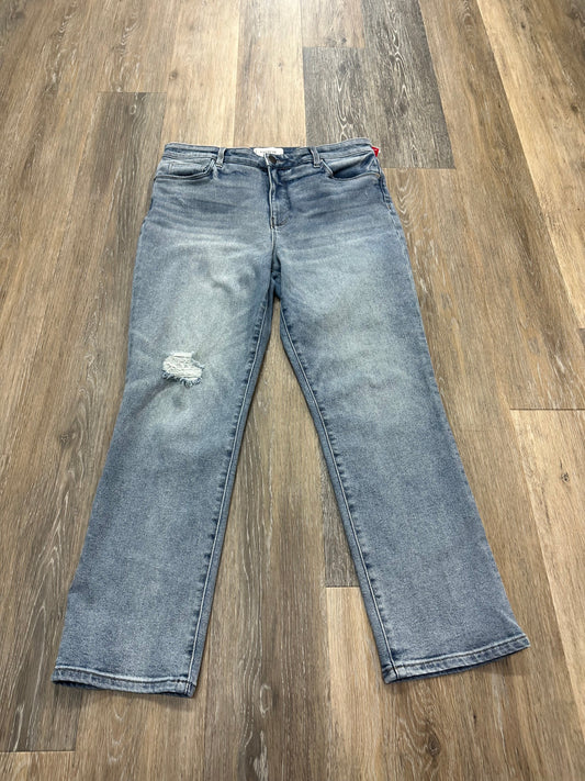Blue Denim Jeans Straight Evereve, Size 12/31