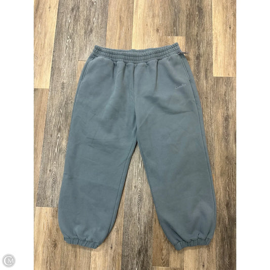 Athletic Pants By Comfrt In Blue, Size: 2x