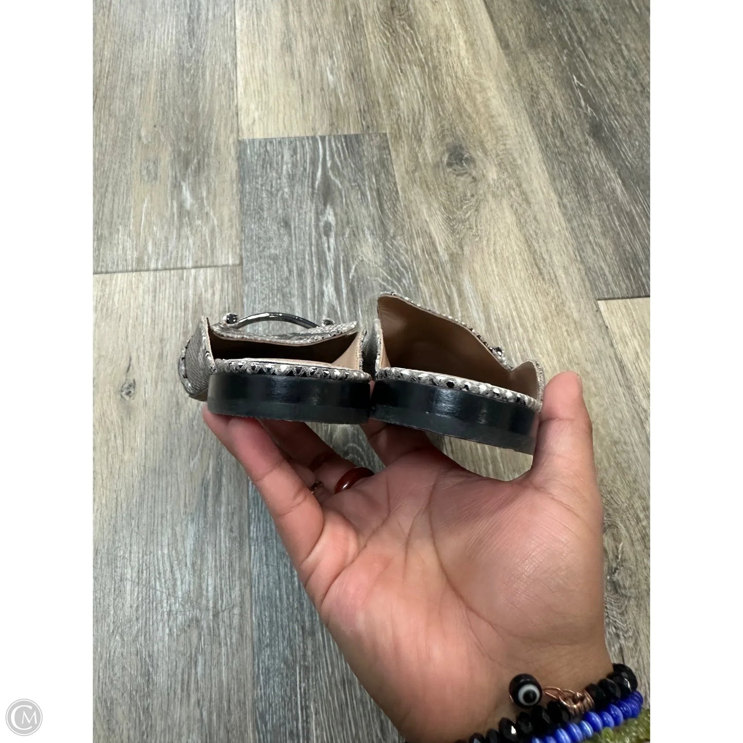 Shoes Flats By Linea Paolo In Snakeskin Print, Size: 8