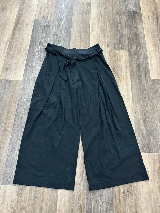 Black Pants Other Z Supply, Size L