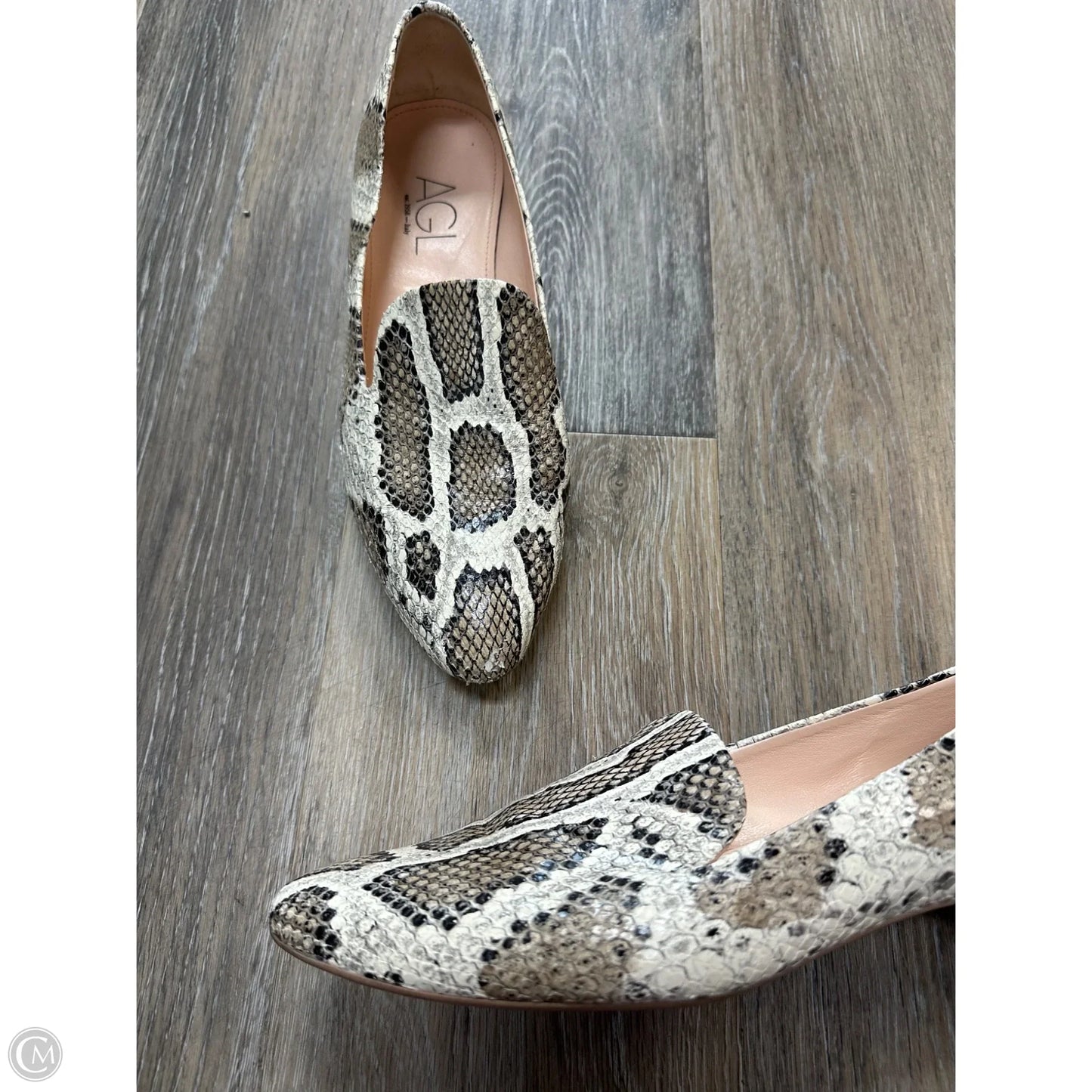 Shoes Flats By Agl In Snakeskin Print, Size: 8.5