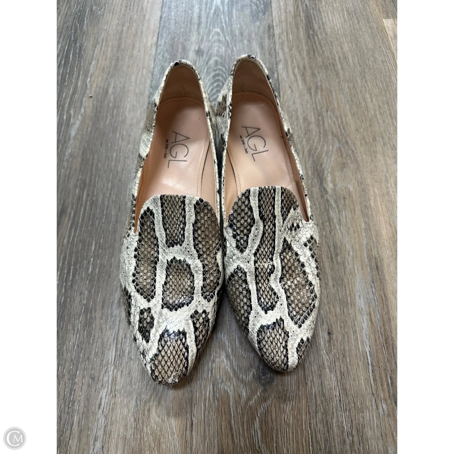 Shoes Flats By Agl In Snakeskin Print, Size: 8.5