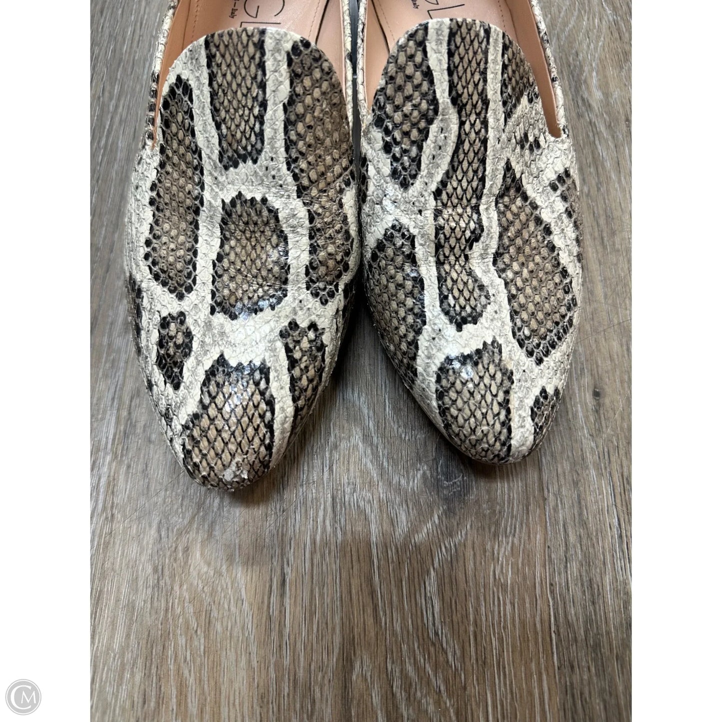 Shoes Flats By Agl In Snakeskin Print, Size: 8.5