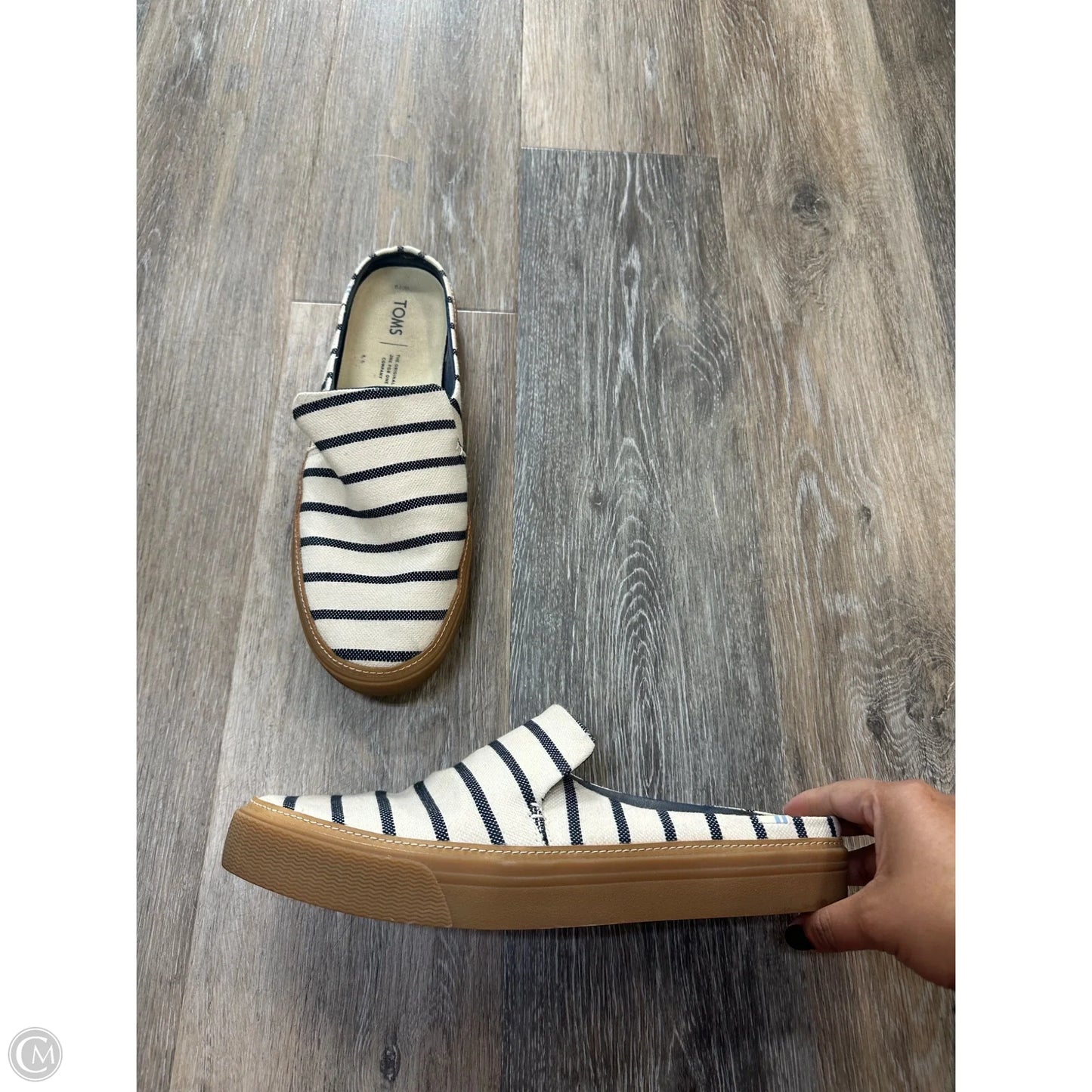 Shoes Flats By Toms In Striped Pattern, Size: 10