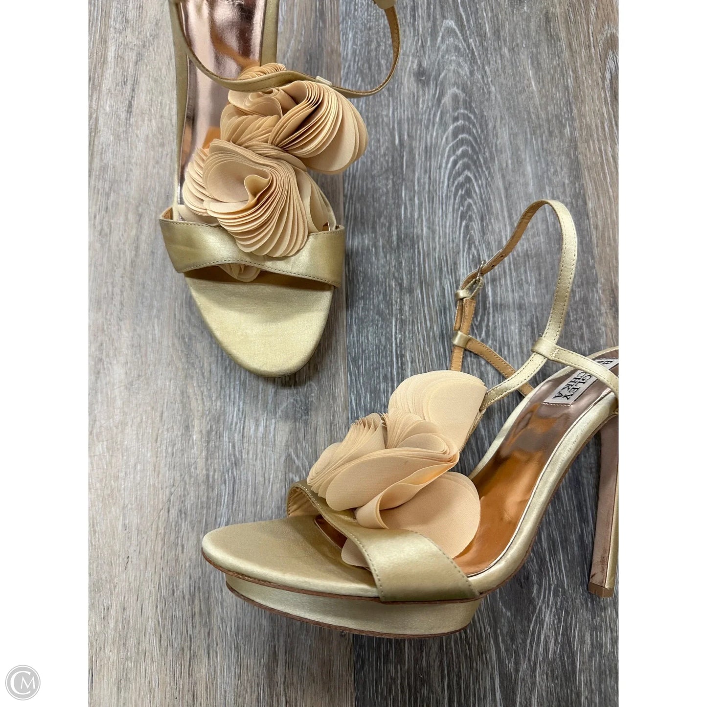 Shoes Heels Stiletto By Badgley Mischka In Gold, Size: 9.5