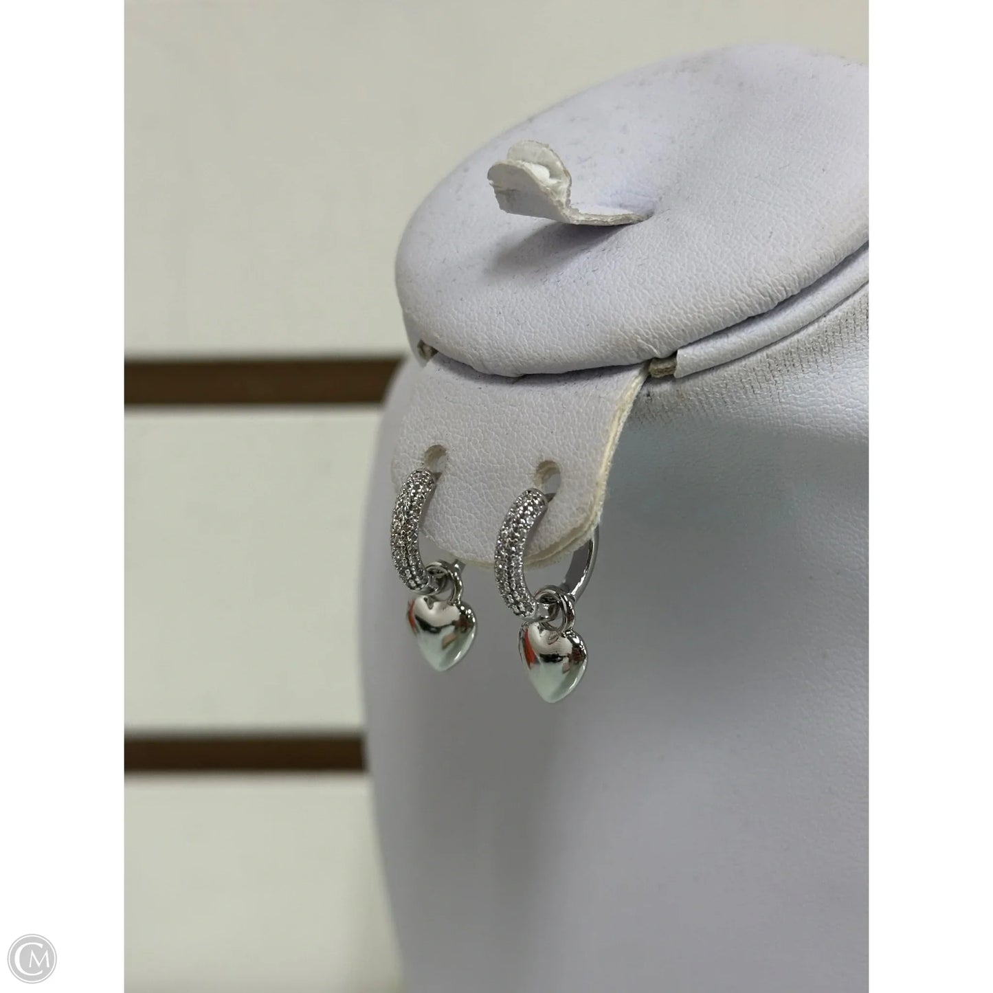 Earrings Hoop By Luv AJ