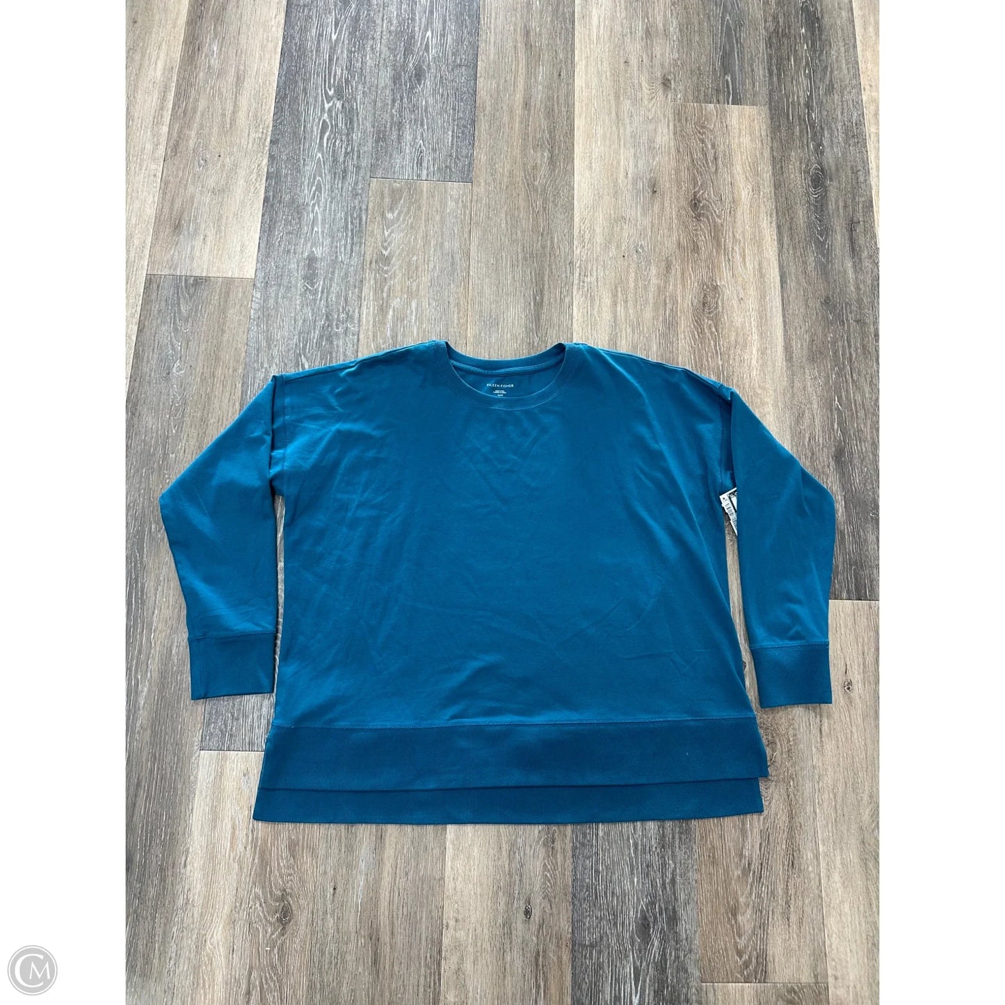 Top Long Sleeve By Eileen Fisher In Blue, Size: M