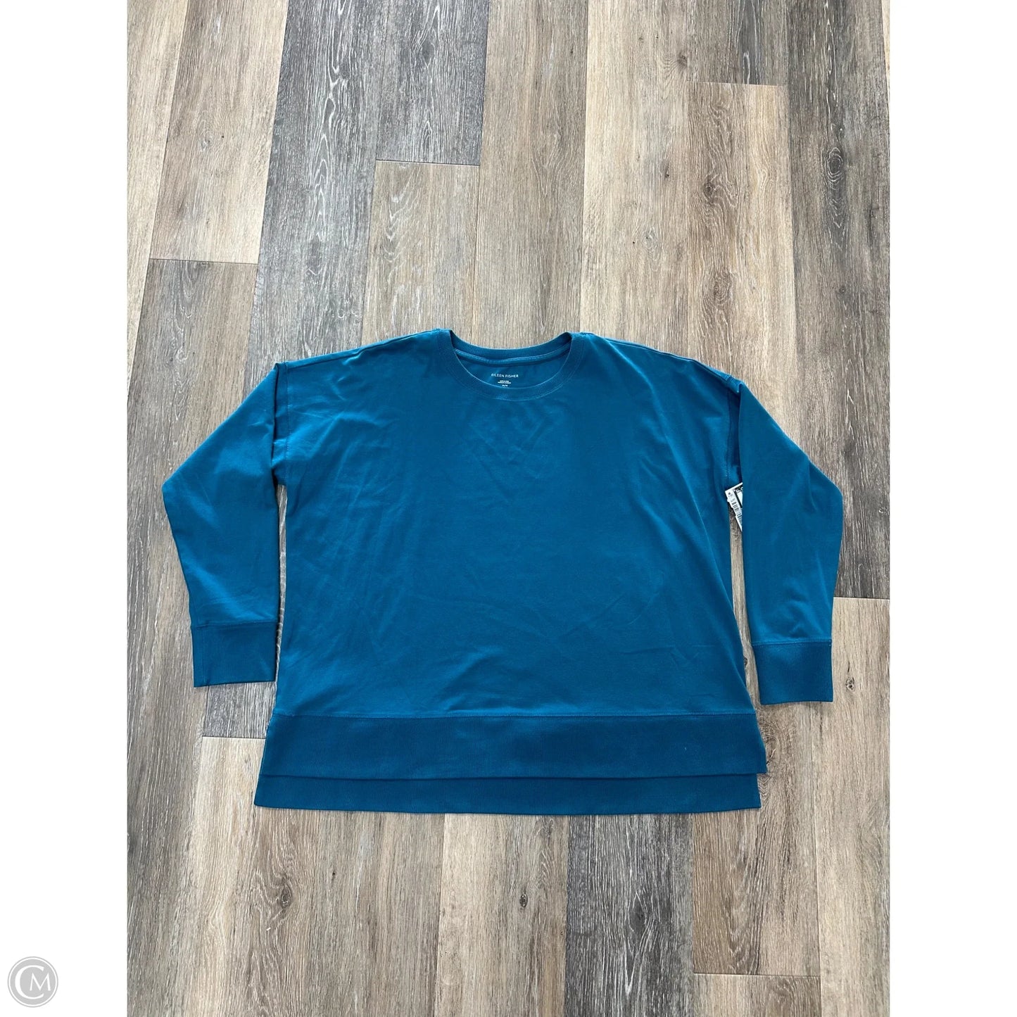 Top Long Sleeve By Eileen Fisher In Blue, Size: M