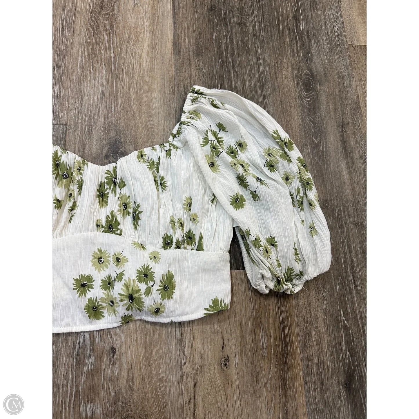 Blouse Long Sleeve By Abercrombie And Fitch In Green & White, Size: M
